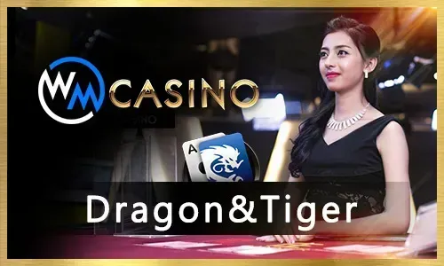 Spinplus Casino Games