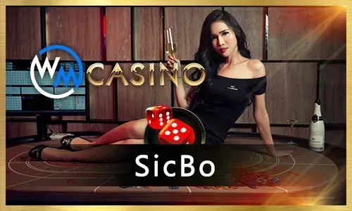 spinplus Online Casino